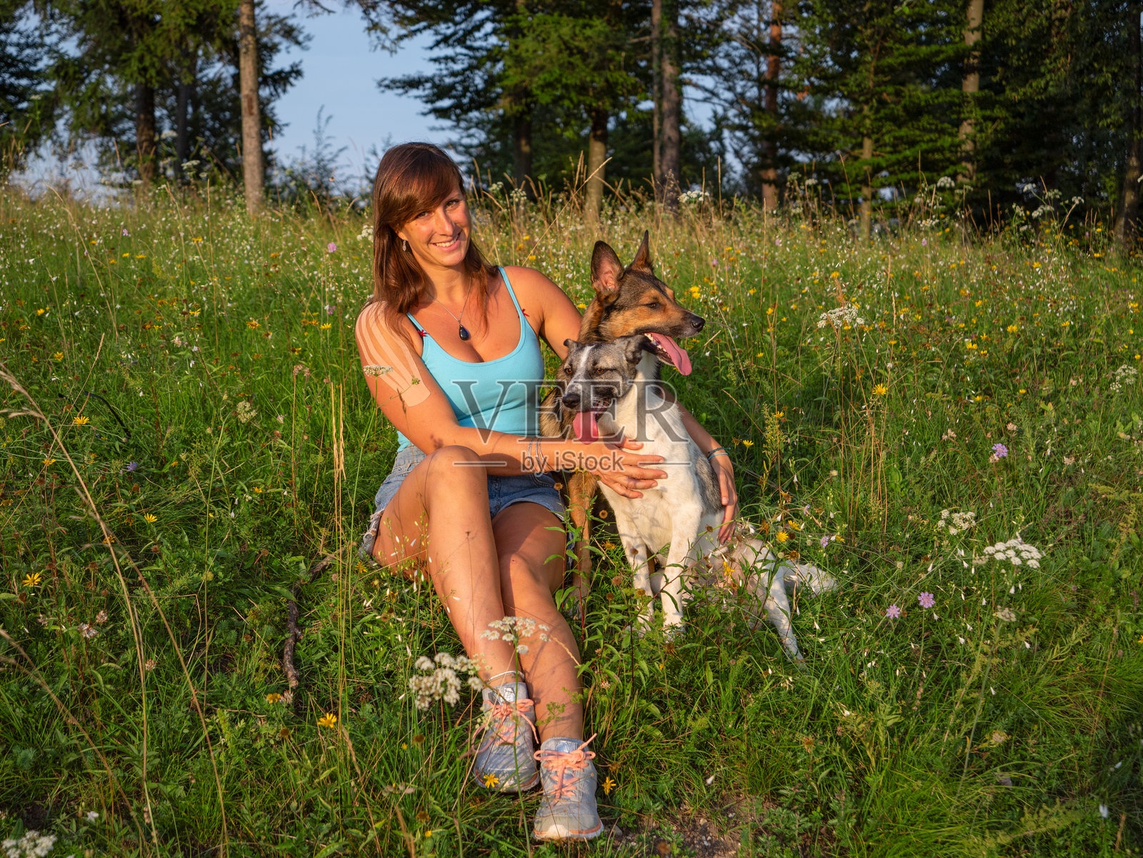 肖像：微笑温暖的女人坐在阳光明媚的草地上，怀抱着她的两只狗。照片摄影图片