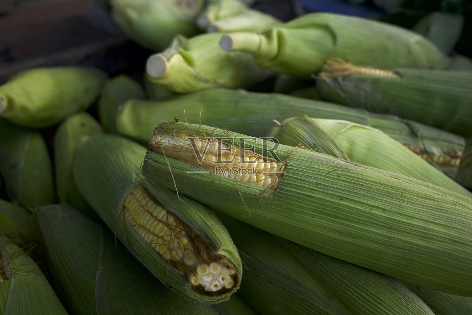 新鲜的甜玉米，刚从印尼日惹的田野中收获，在传统市场出售照片摄影图片