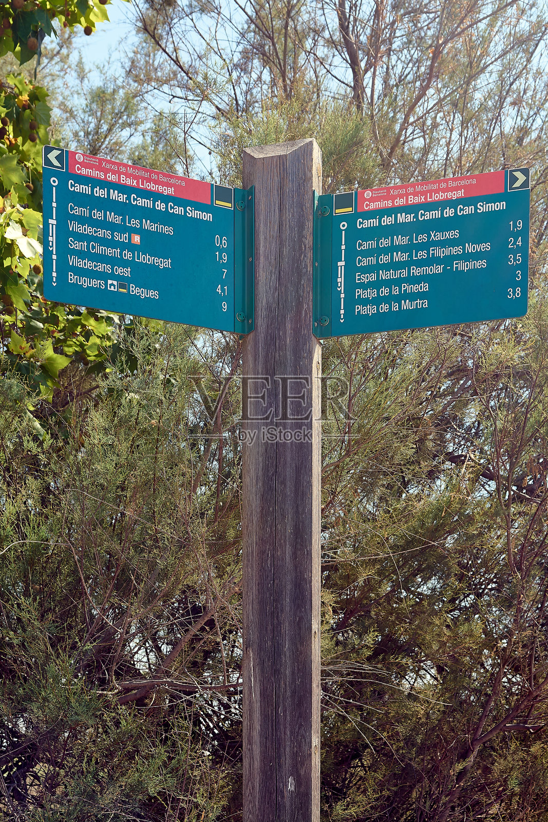 公园内的徒步路线指示牌照片摄影图片