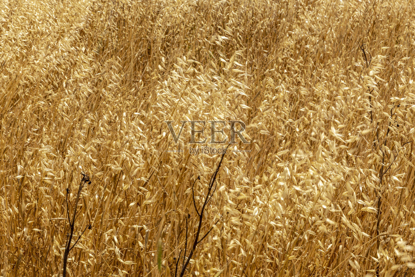 塞浦路斯照片摄影图片