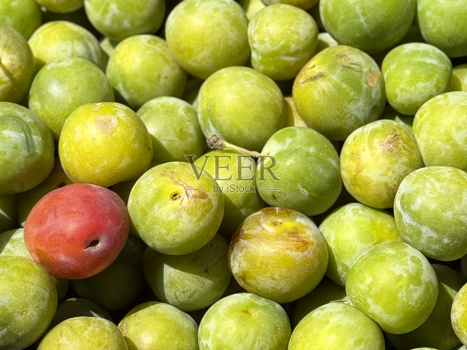 超市水果和蔬菜区出售的成熟绿色李子（Prunus domestica italica）全景图，新鲜成熟的水果，俯视图，五份水果和蔬菜的健康饮食理念照片摄影图片
