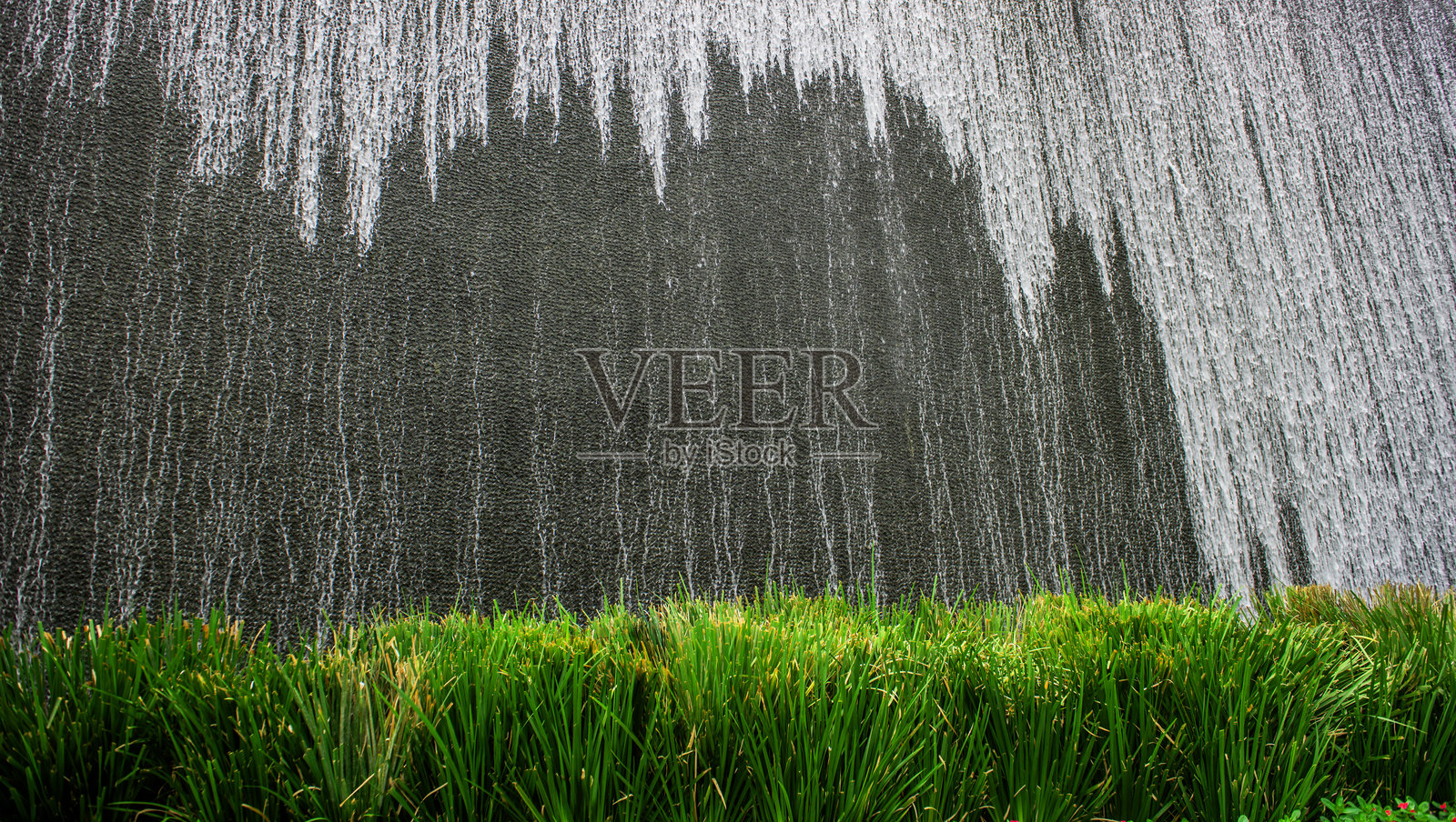 湿墙与绿色长草照片摄影图片