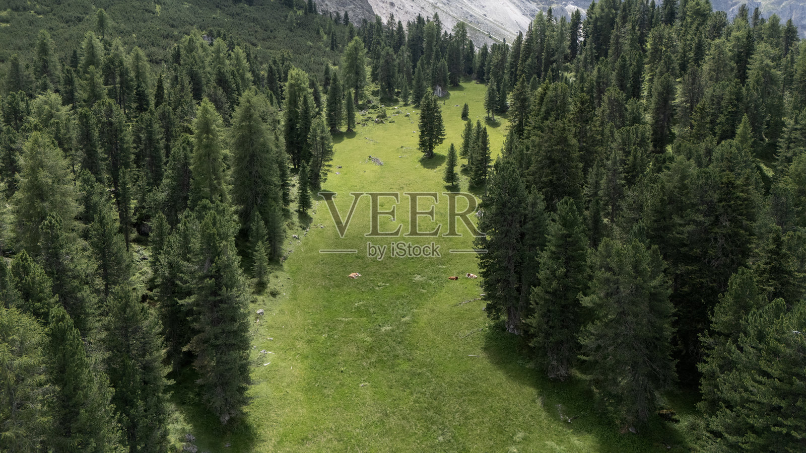 意大利森林的鸟瞰图照片摄影图片