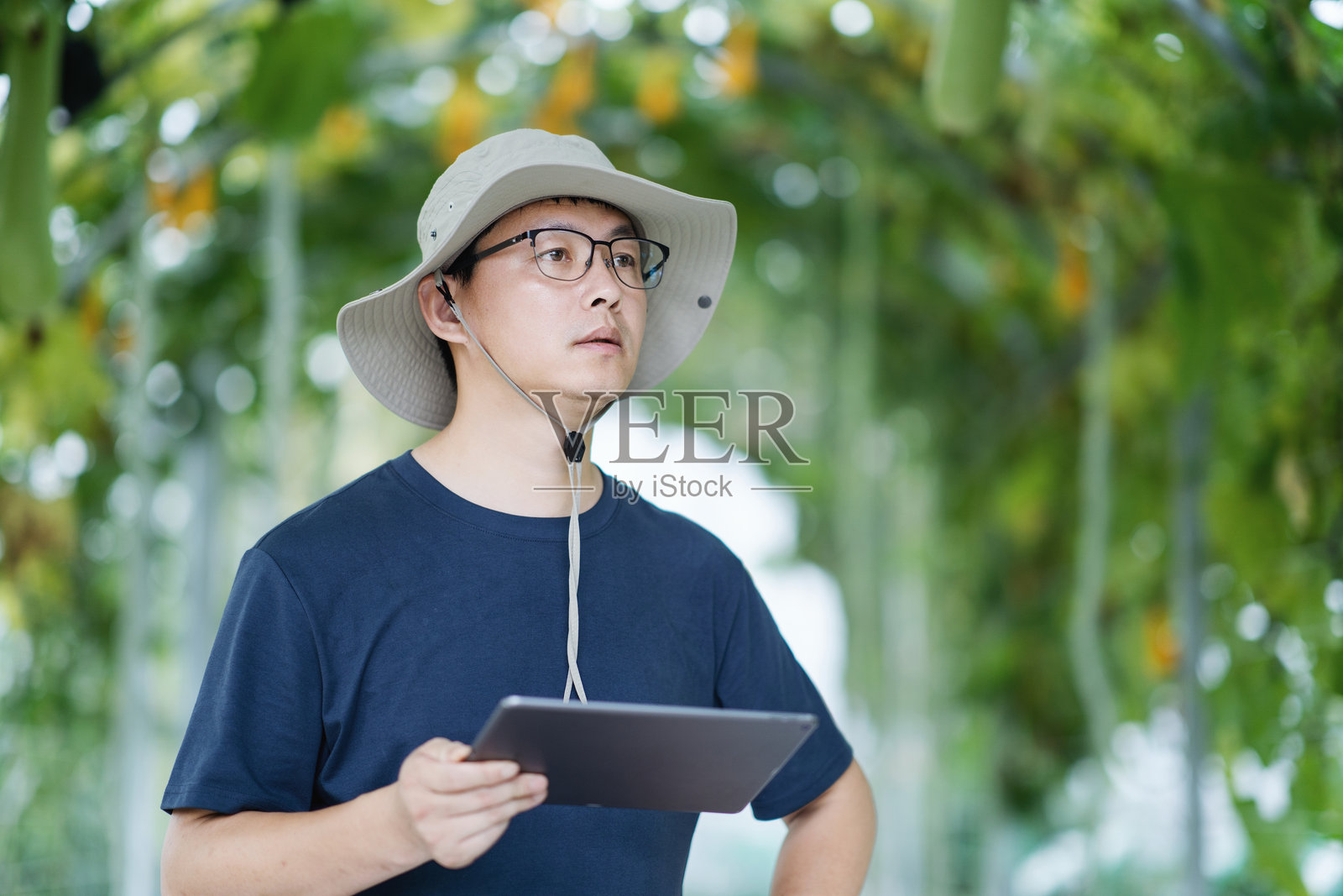 亚洲男性农民在温室中使用数字平板电脑工作照片摄影图片