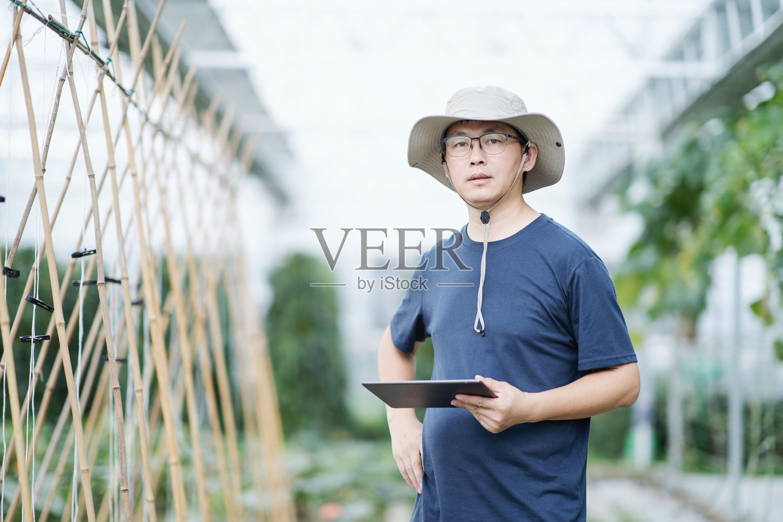 亚洲男性农民在温室中使用数字平板电脑工作照片摄影图片