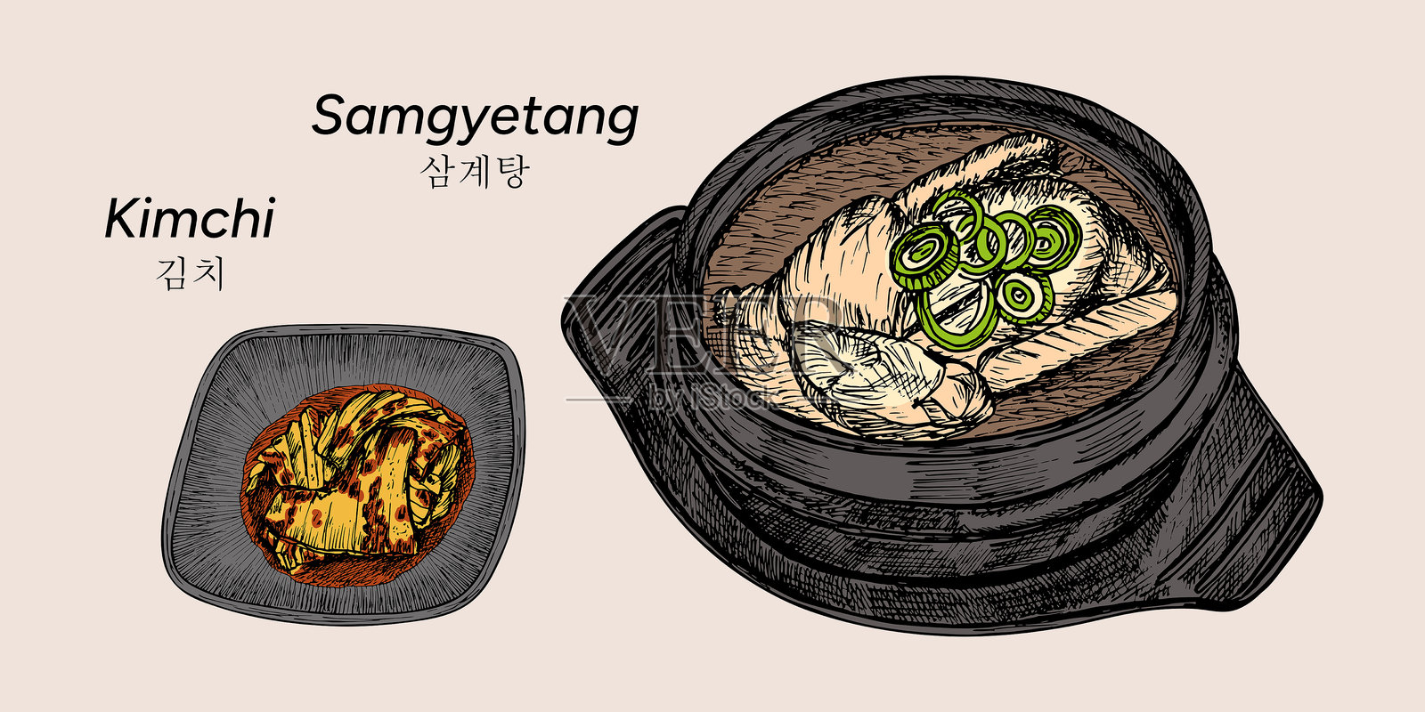 参鸡汤和泡菜套餐插画图片素材