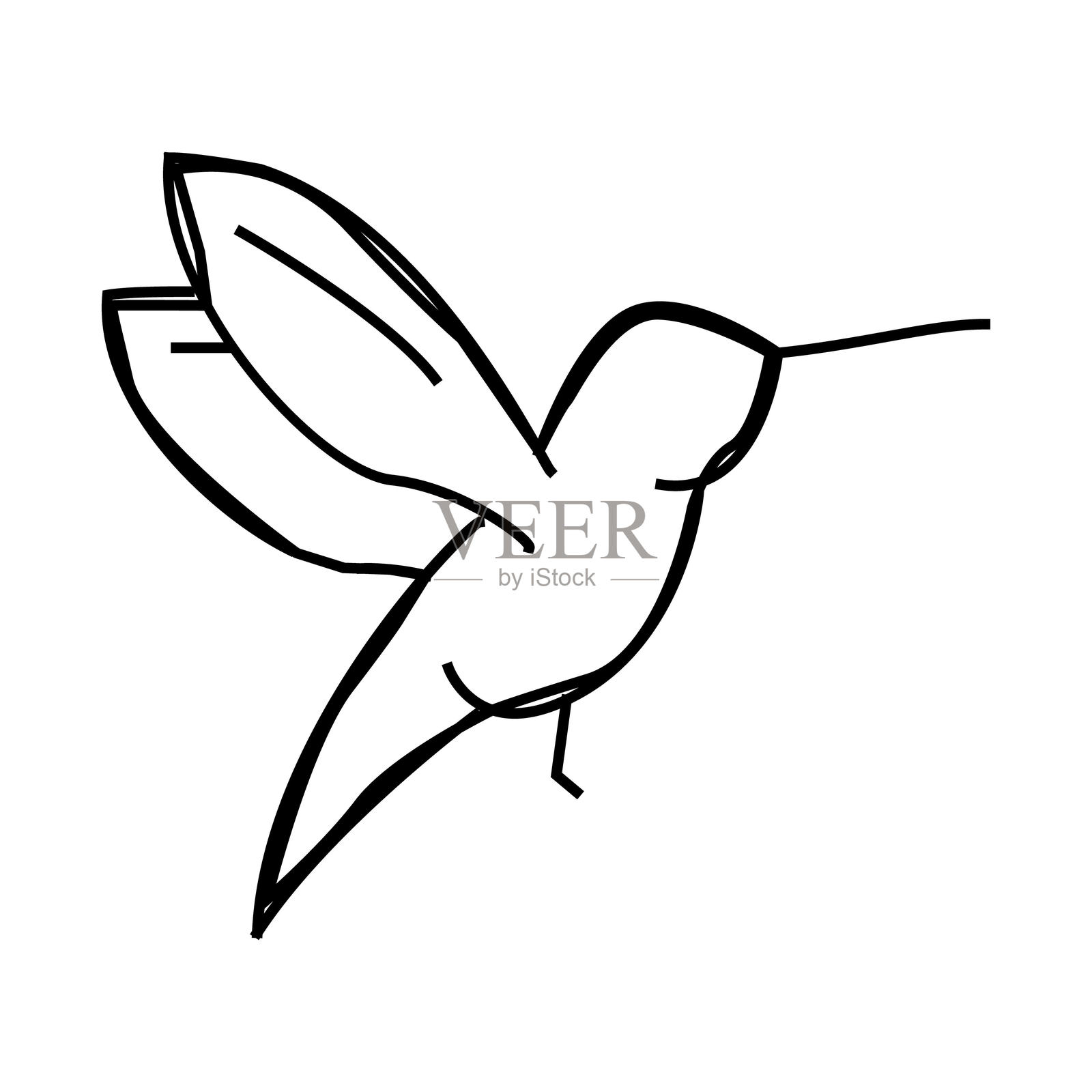 Colibri小鸟线图标矢量插图插画图片素材