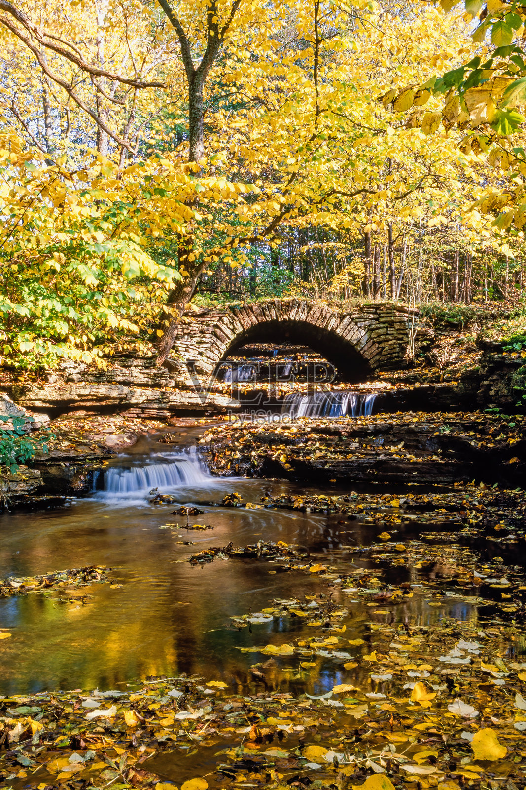 古老的拱桥位于树林中，旁边有一条小溪，秋天的色彩美丽。照片摄影图片