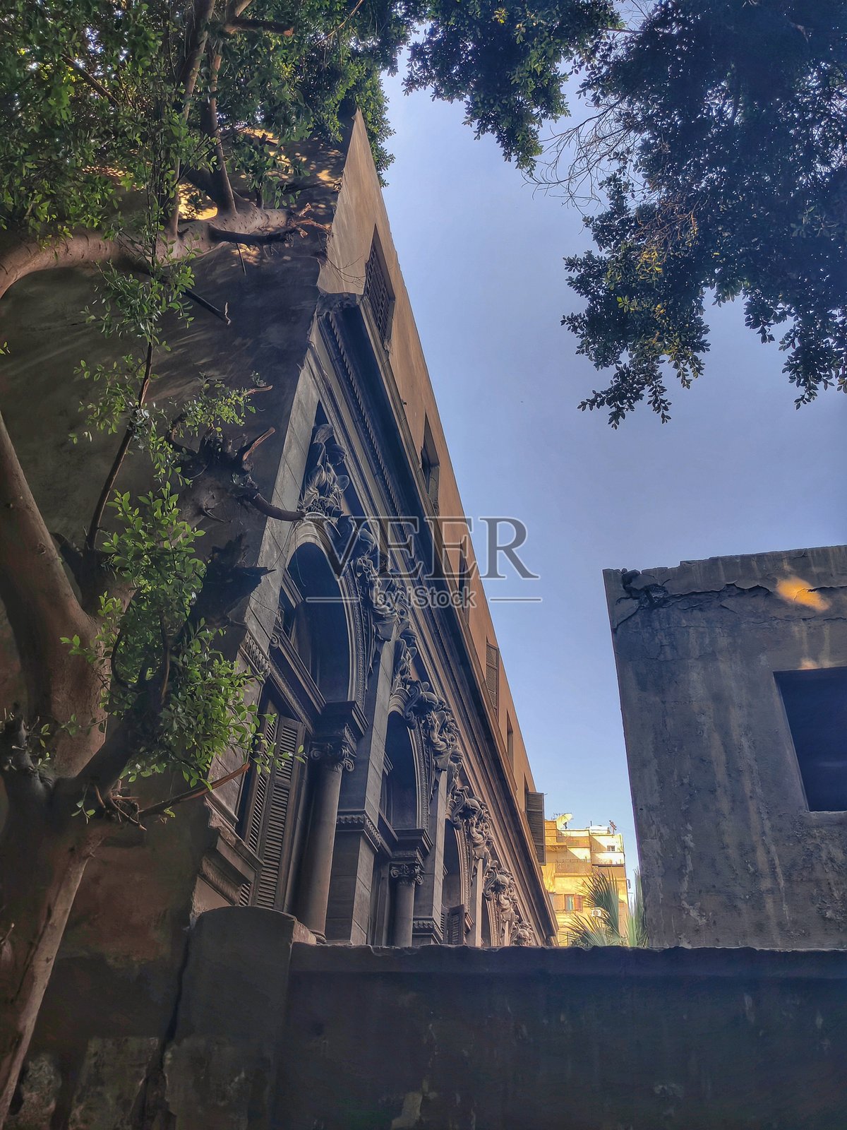 埃及照片摄影图片