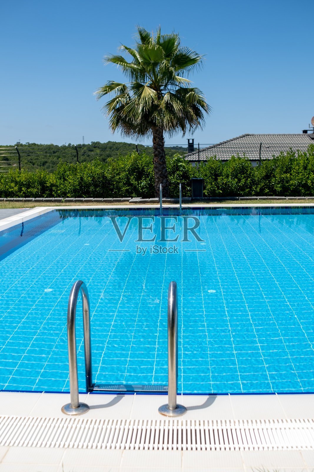 美丽的游泳池，清澈的蓝水和阳光明媚的日子里绿地旁的棕榈树照片摄影图片