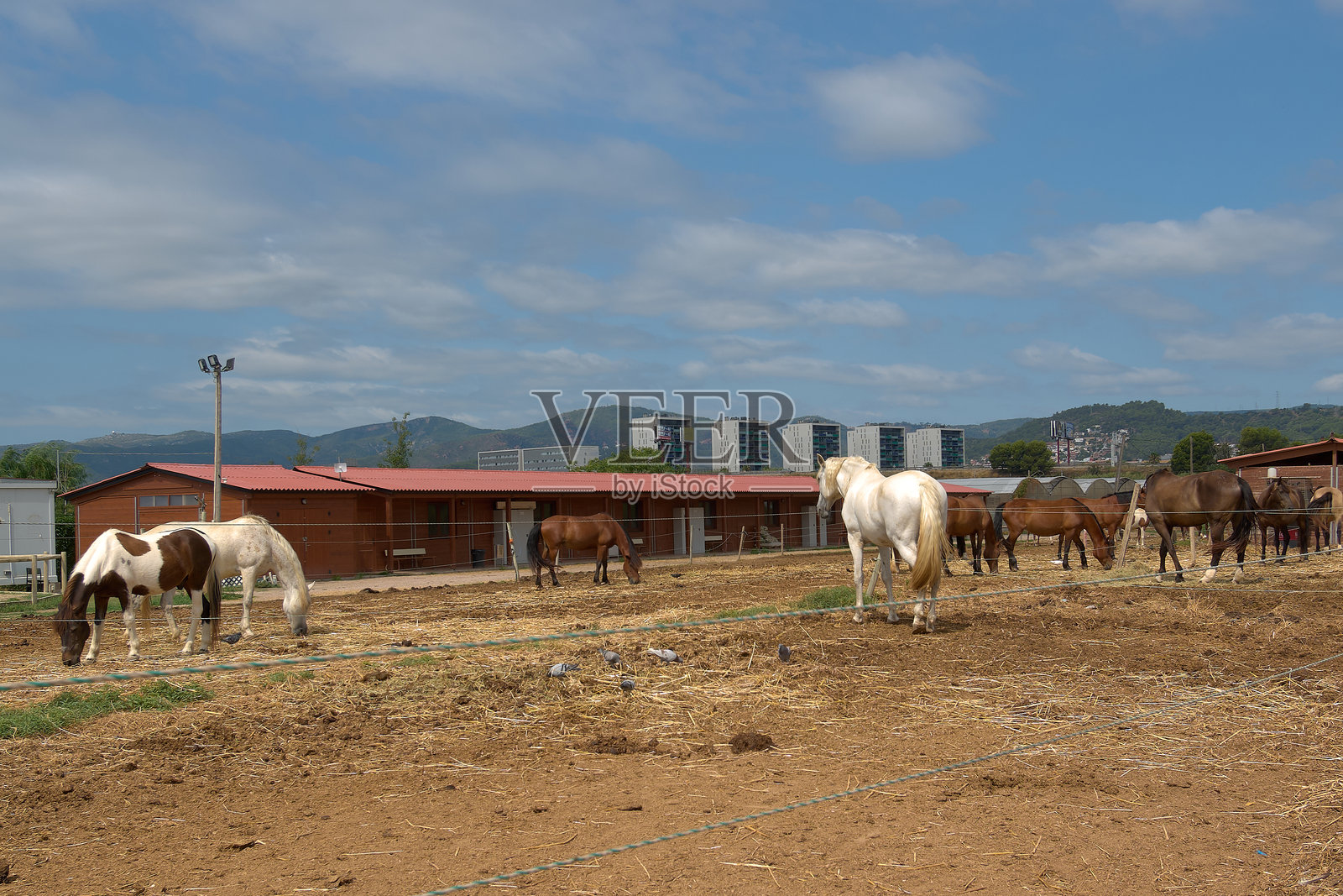 阳光明媚的马圈。照片摄影图片