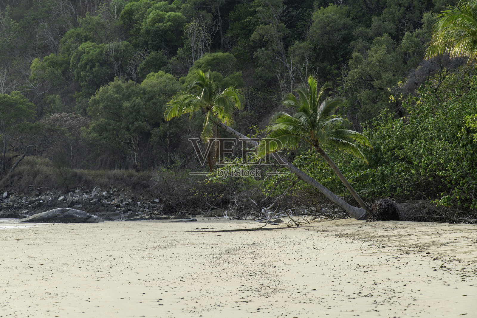热带海滩风景。照片摄影图片