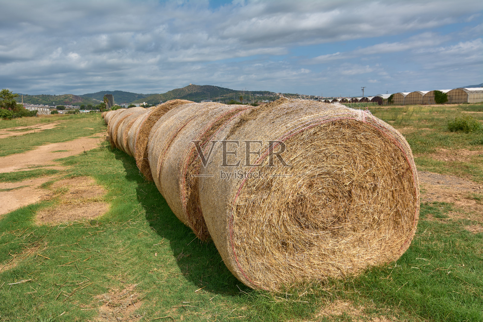 农业景观与堆叠的干草卷照片摄影图片