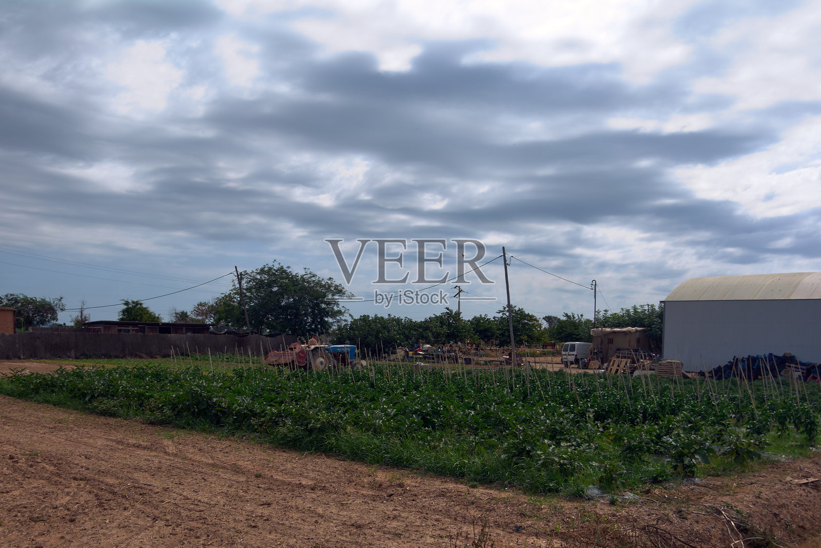 巴萨罗那维拉德坎斯 - 2025年8月12日：农田与作物和拖拉机。照片摄影图片