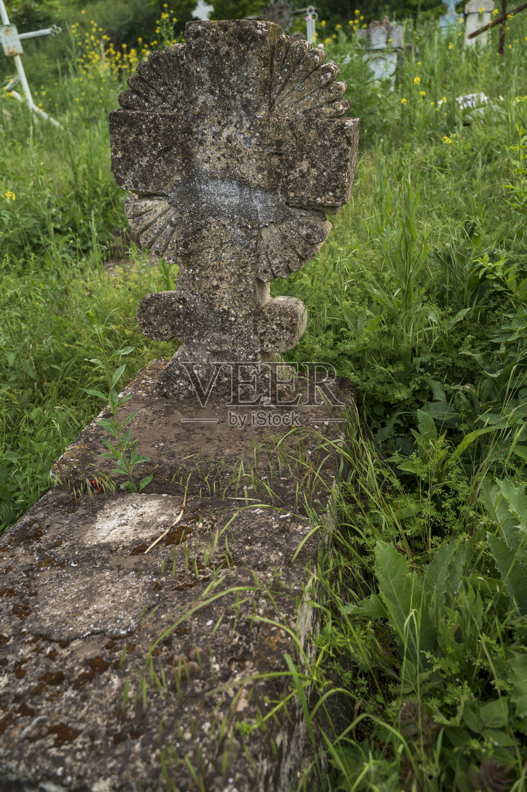 古老墓地中的石十字架。绿色田野上草丛间的古老石十字架，上面刻有铭文。照片摄影图片