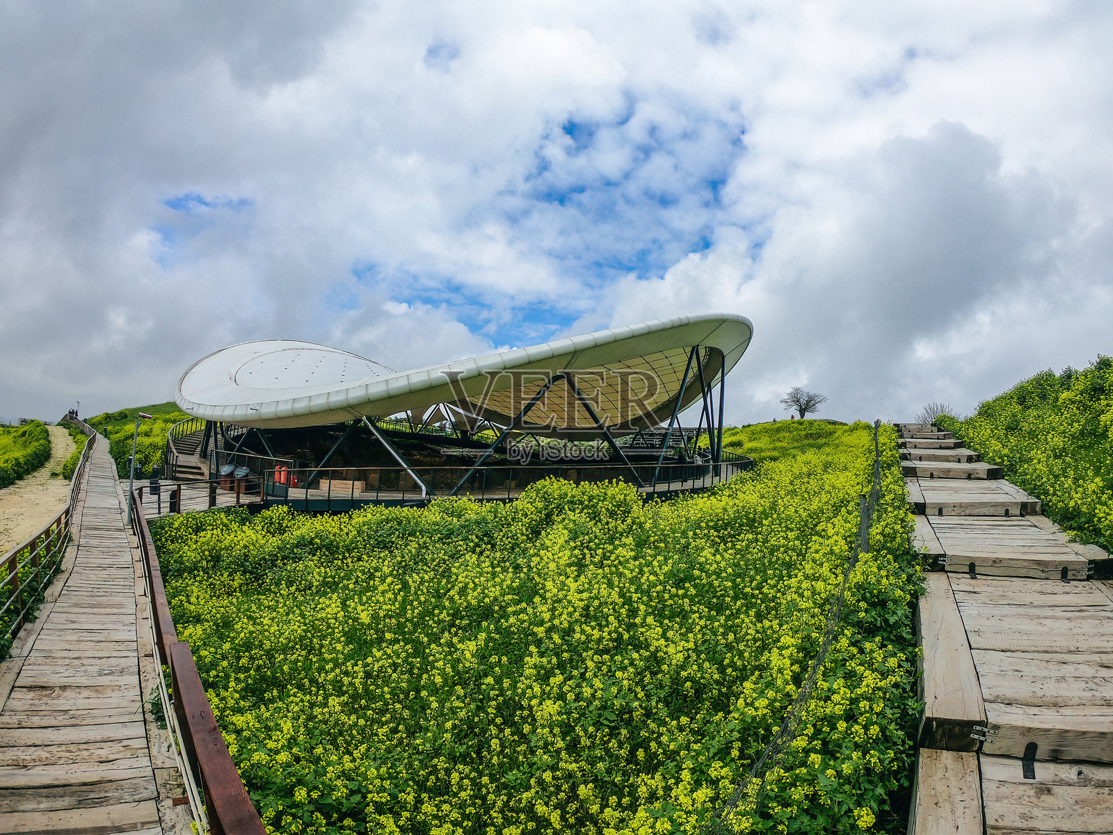 土耳其尚利乌尔法省的戈贝克力石阵外观。戈贝克力石阵与花朵相映成趣。照片摄影图片