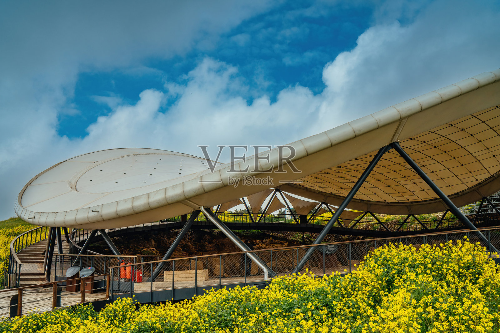 土耳其尚里乌法省的戈贝克力石阵外观。戈贝克力石阵与花朵相映成趣。照片摄影图片