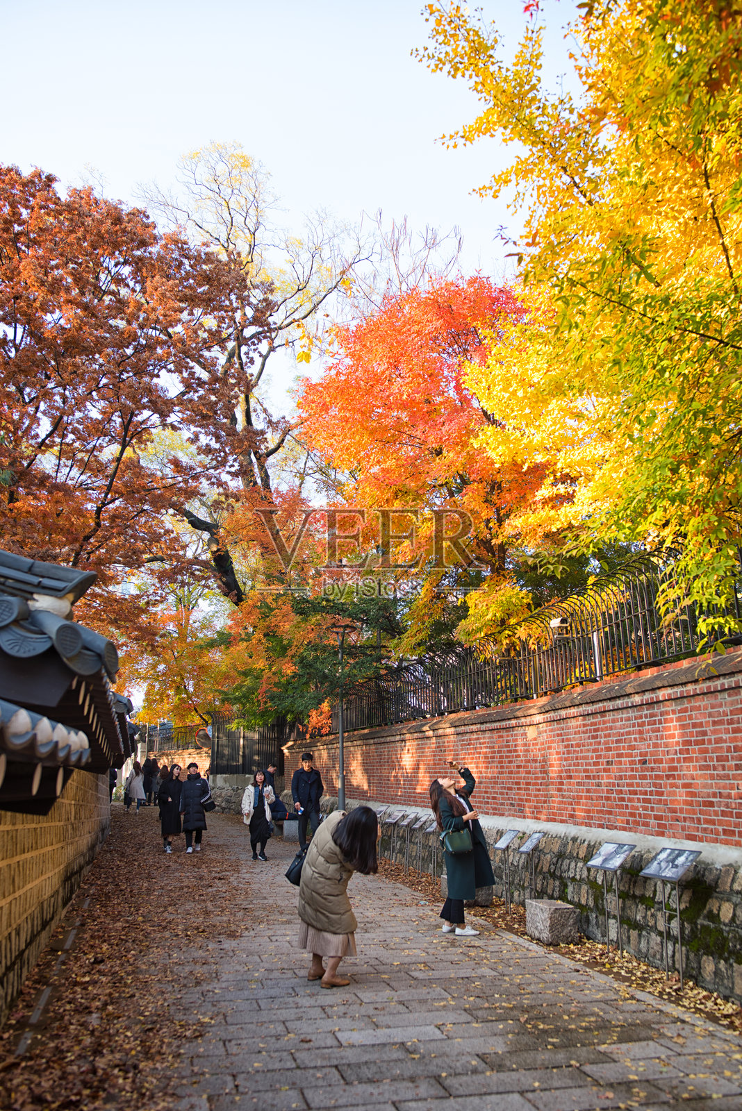 享受秋天的色彩照片摄影图片