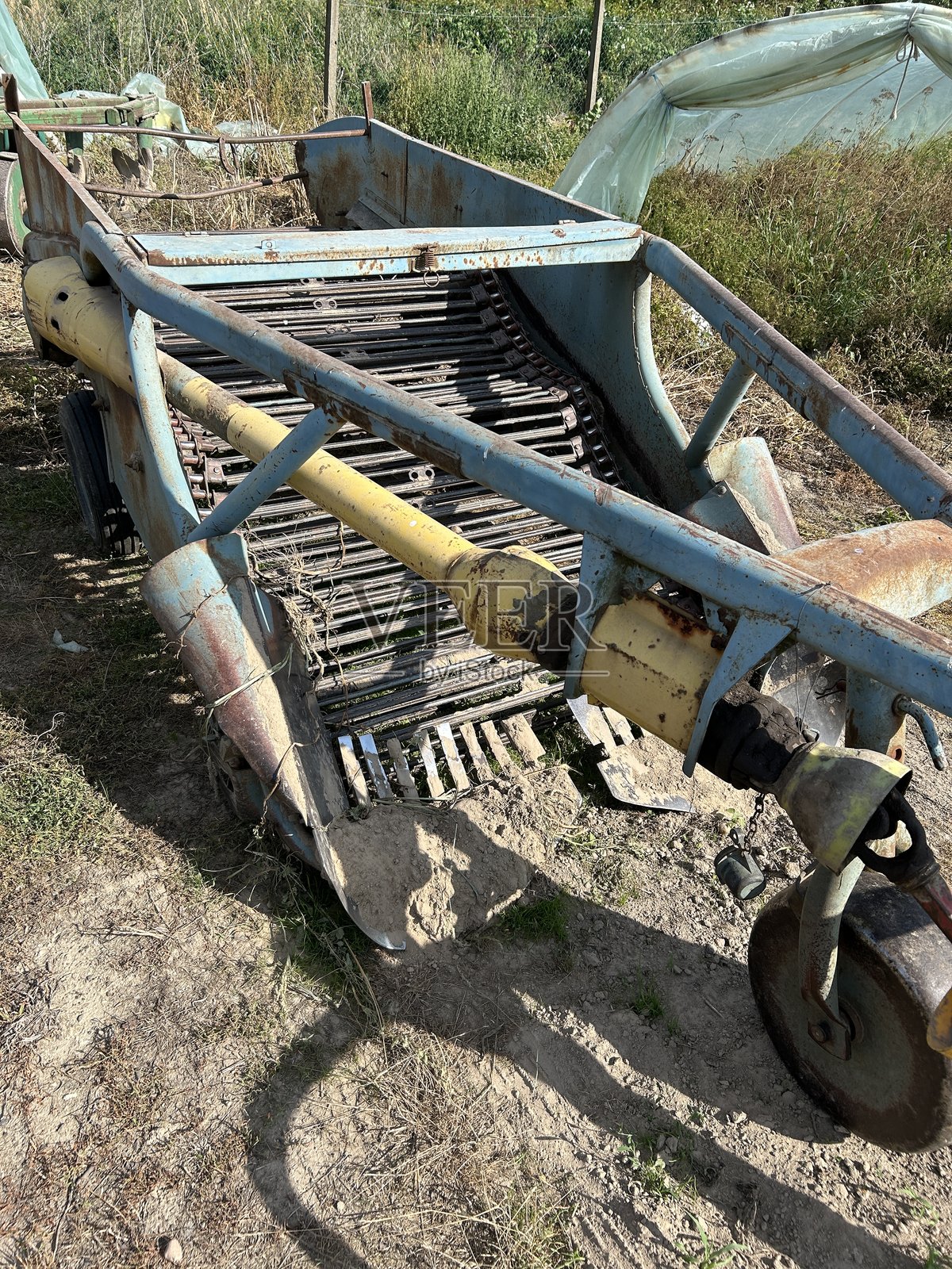 挖土豆的农业机械照片摄影图片