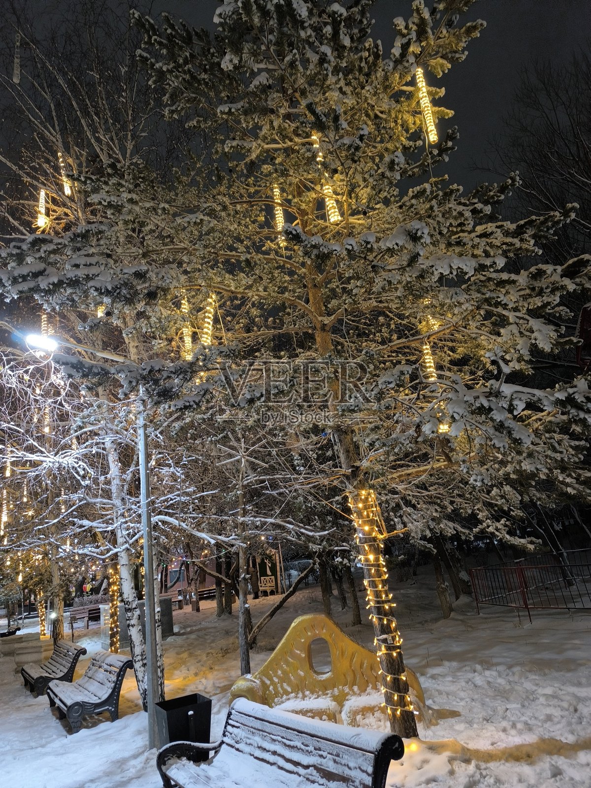 冬季仙境，雪覆盖的公园，点亮的树木营造出节日氛围照片摄影图片