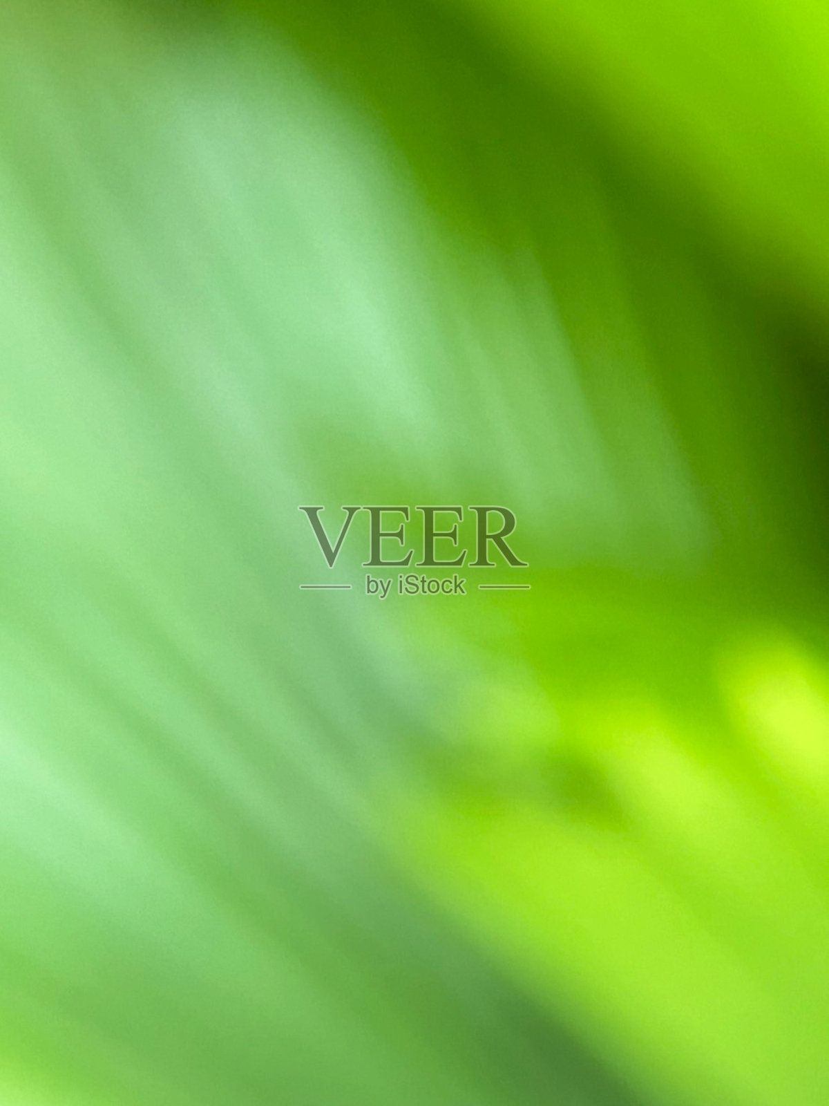 绿色叶子背景照片摄影图片