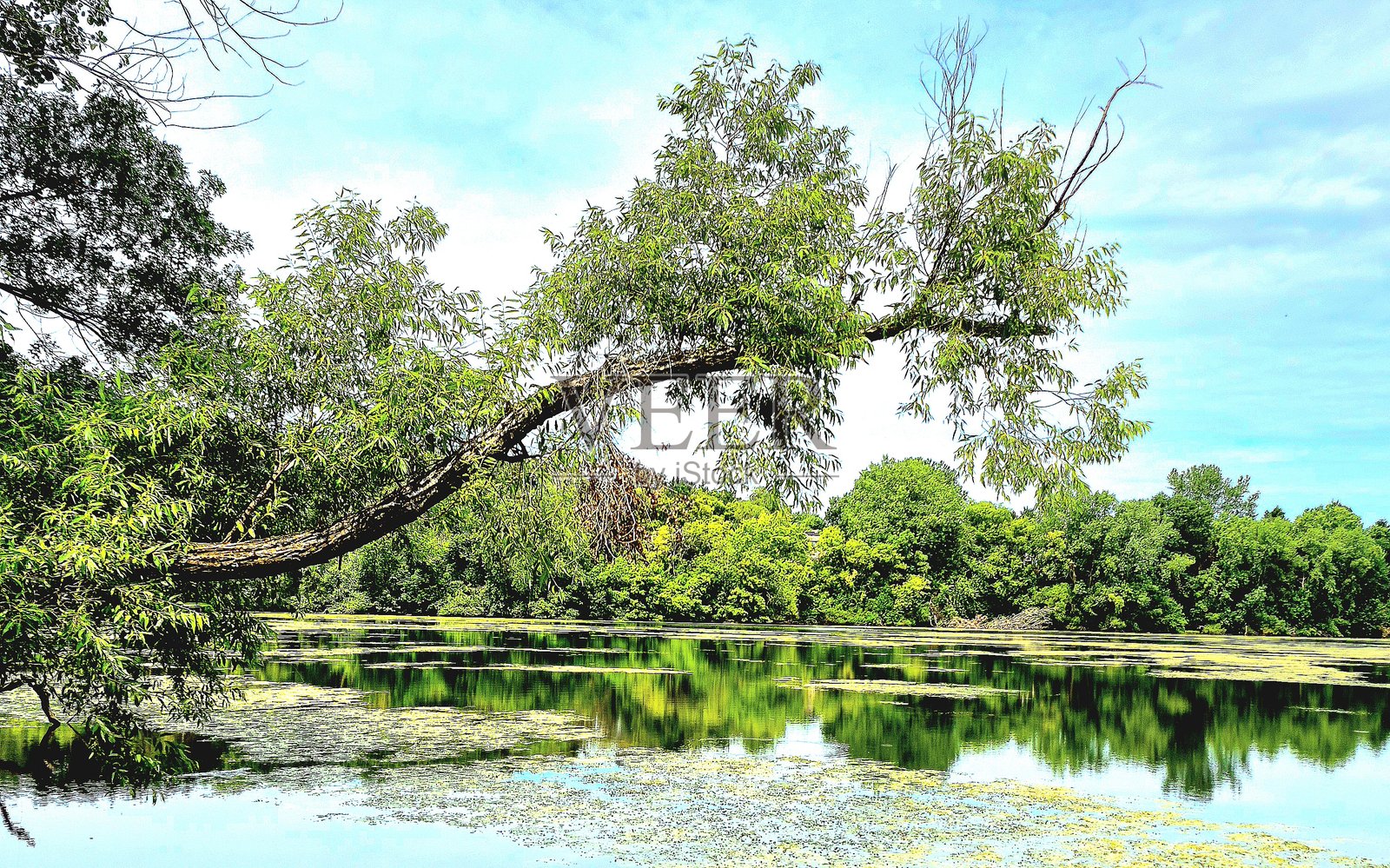 宁静照片摄影图片