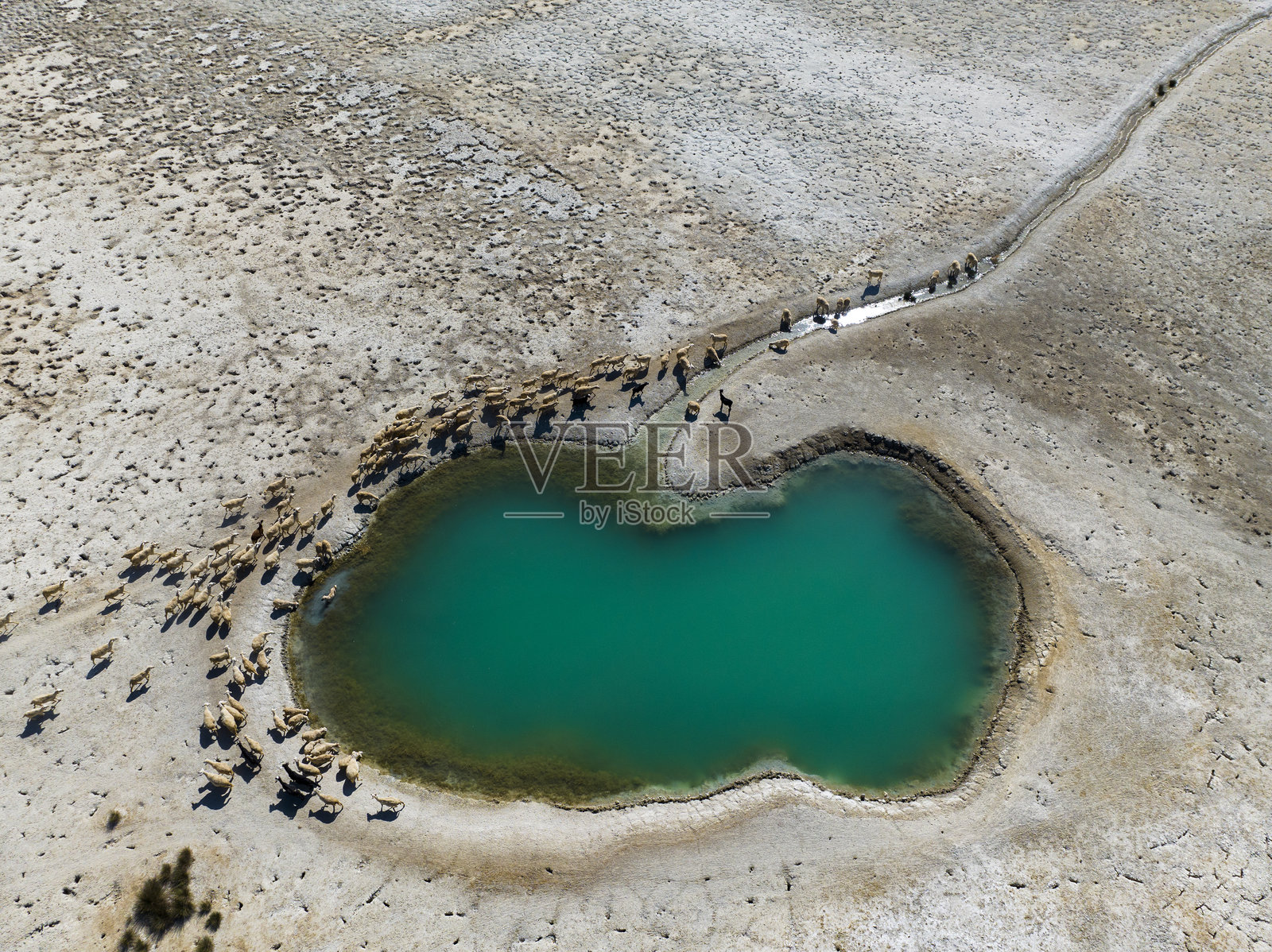 干涸的湖泊，盐湖，裂开的土壤，咸水，干旱区，环境影响，干涸的泥土，裂开的土地，气候影响，干燥的景观，自然危机，沙漠化，干涸的河流，自然灾害，干旱影响，地球裂缝，全球气候，盐分照片摄影图片