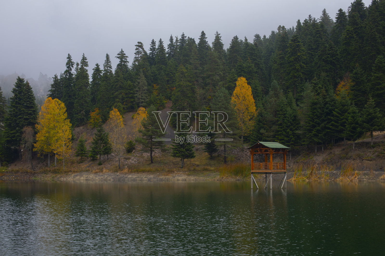 Akgöl自然公园位于土耳其锡诺普省的阿扬吉克区。照片摄影图片