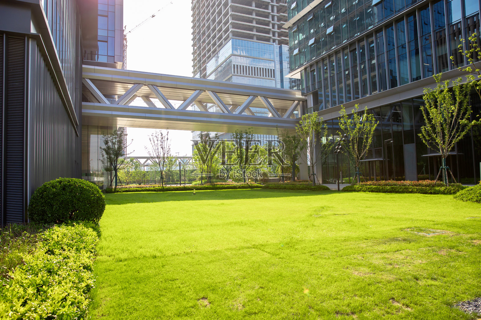 生态办公楼前的开放空间照片摄影图片
