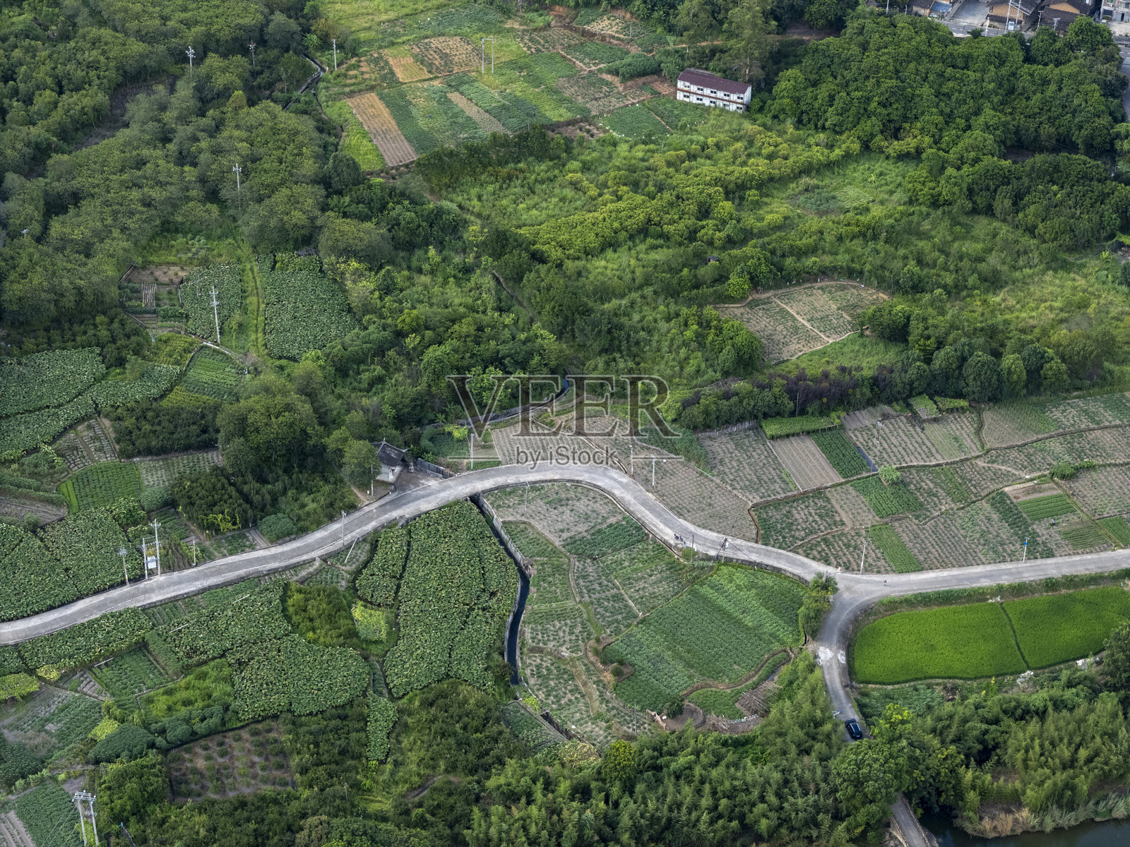 郁郁葱葱的农田鸟瞰图照片摄影图片