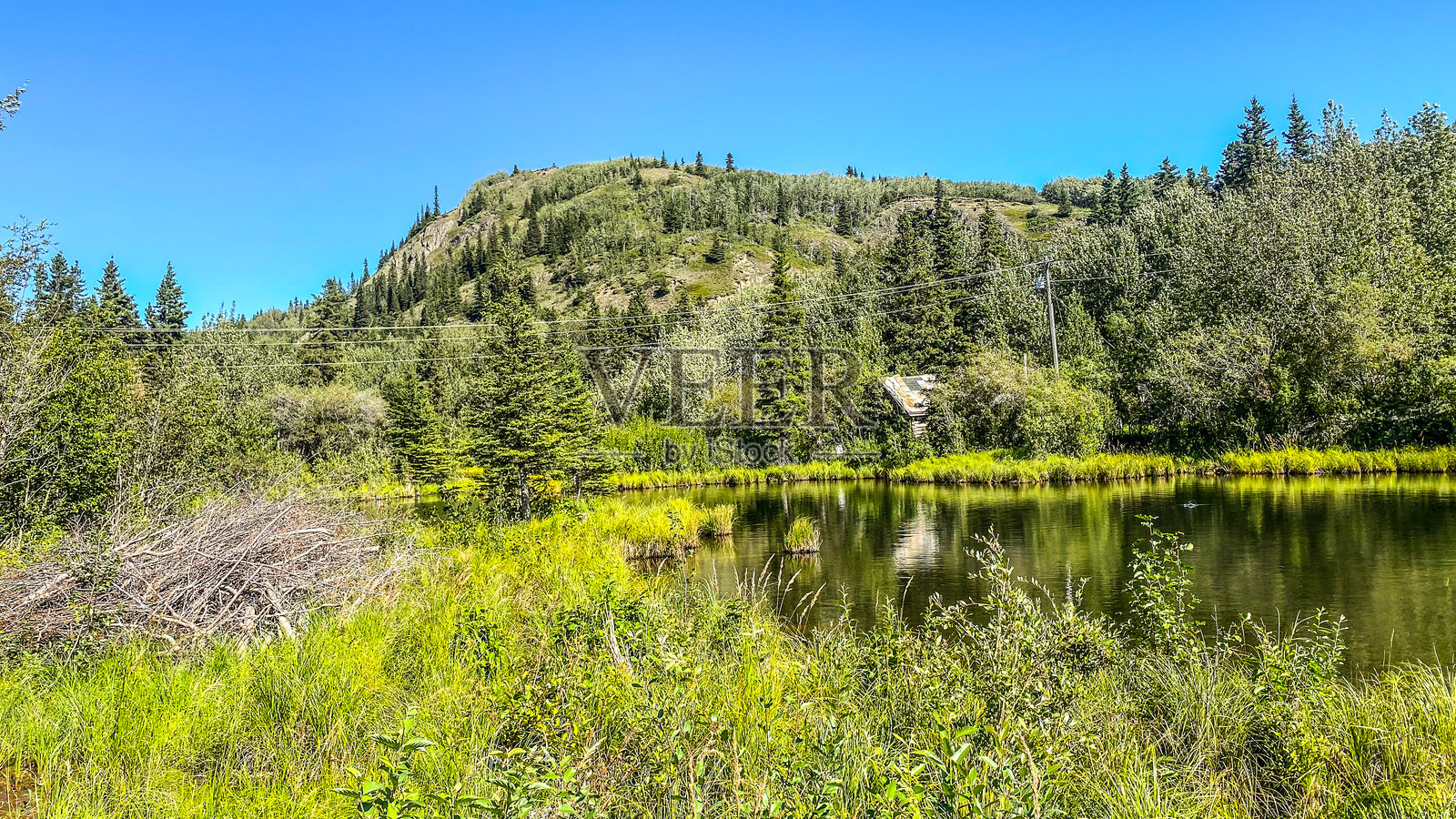 宁静的阿拉斯加湖泊与倒影照片摄影图片