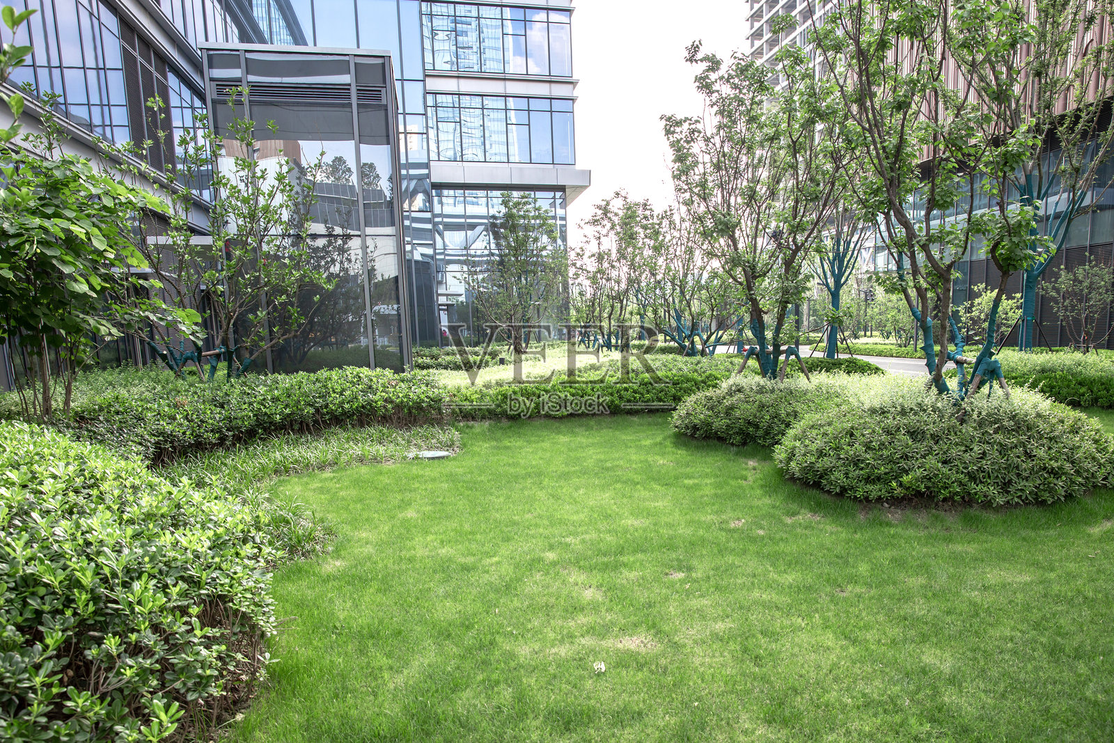 生态办公楼前的开放空间照片摄影图片