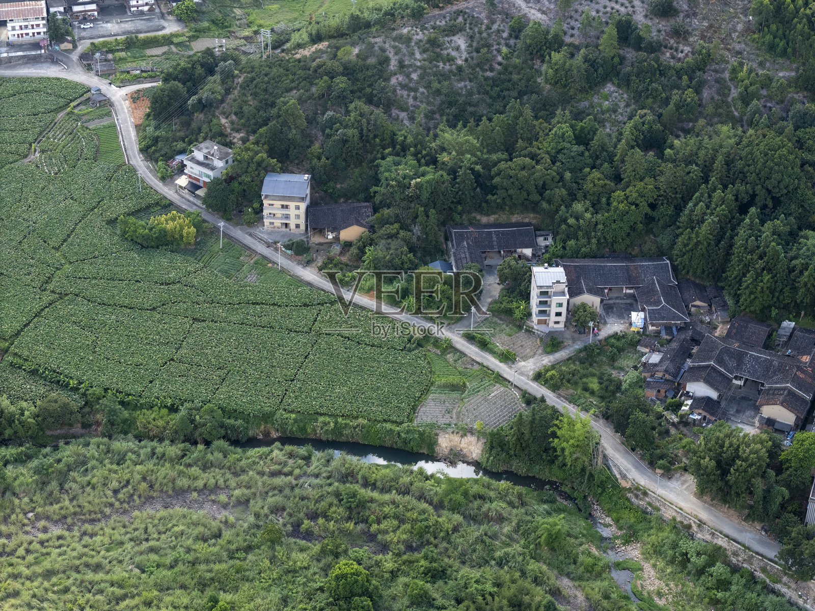 郊区村庄的鸟瞰图，四周环绕着郁郁葱葱的绿意照片摄影图片