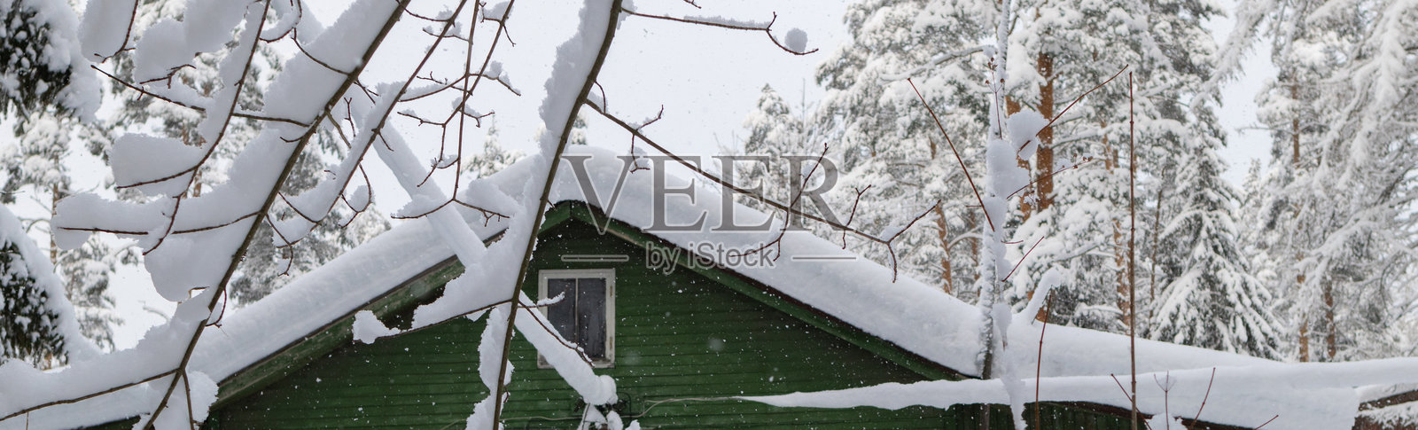 冬季乡村中的雪覆盖温室，四周被许多树木环绕。照片摄影图片