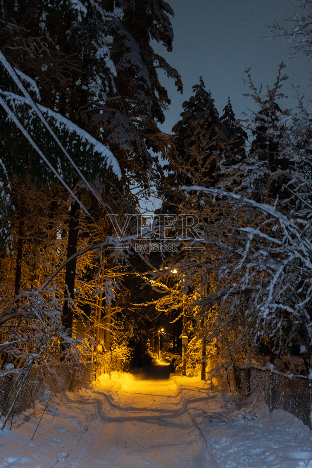黑暗的雪-covered森林道路在路灯的照耀下穿过高大的雪-covered树木。宁静的夜晚环境和柔和的光芒营造出神秘而宁静的冬季氛围。照片摄影图片