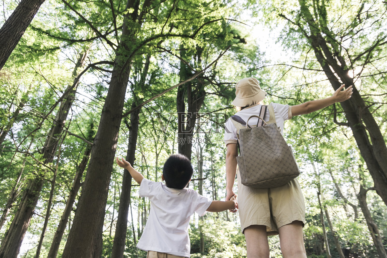 母亲和孩子在森林中享受大自然，双臂伸展。照片摄影图片