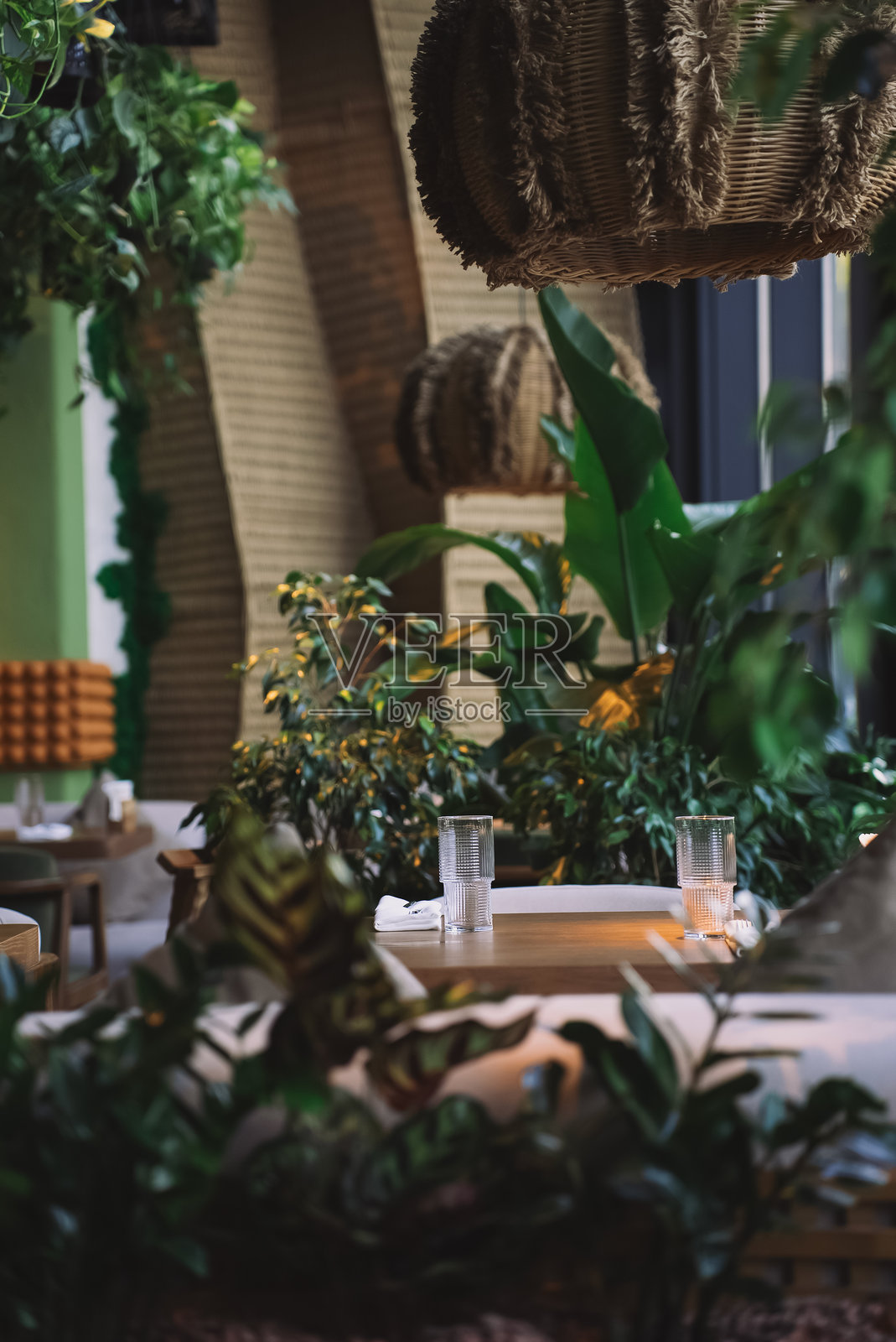 自然灵感的餐饮区，配有郁郁葱葱的绿植和时尚的装饰元素照片摄影图片