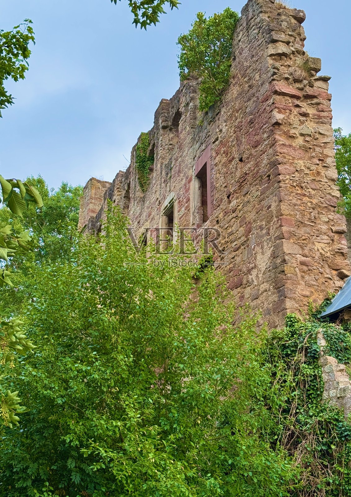 哈登堡城堡遗址照片摄影图片