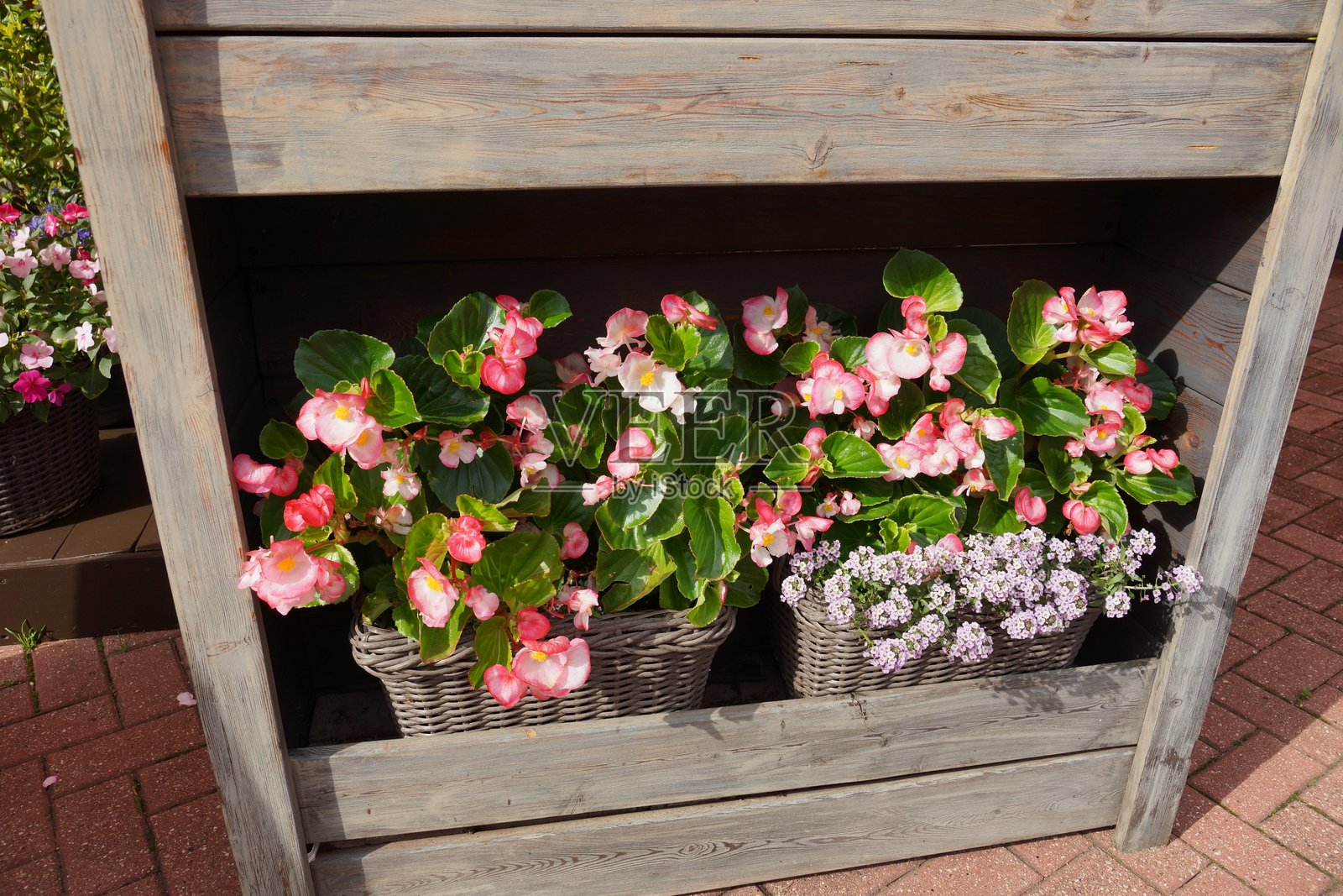 埃斯特萨多克克拉斯纳亚波利亚纳的巷道景观度假村照片摄影图片