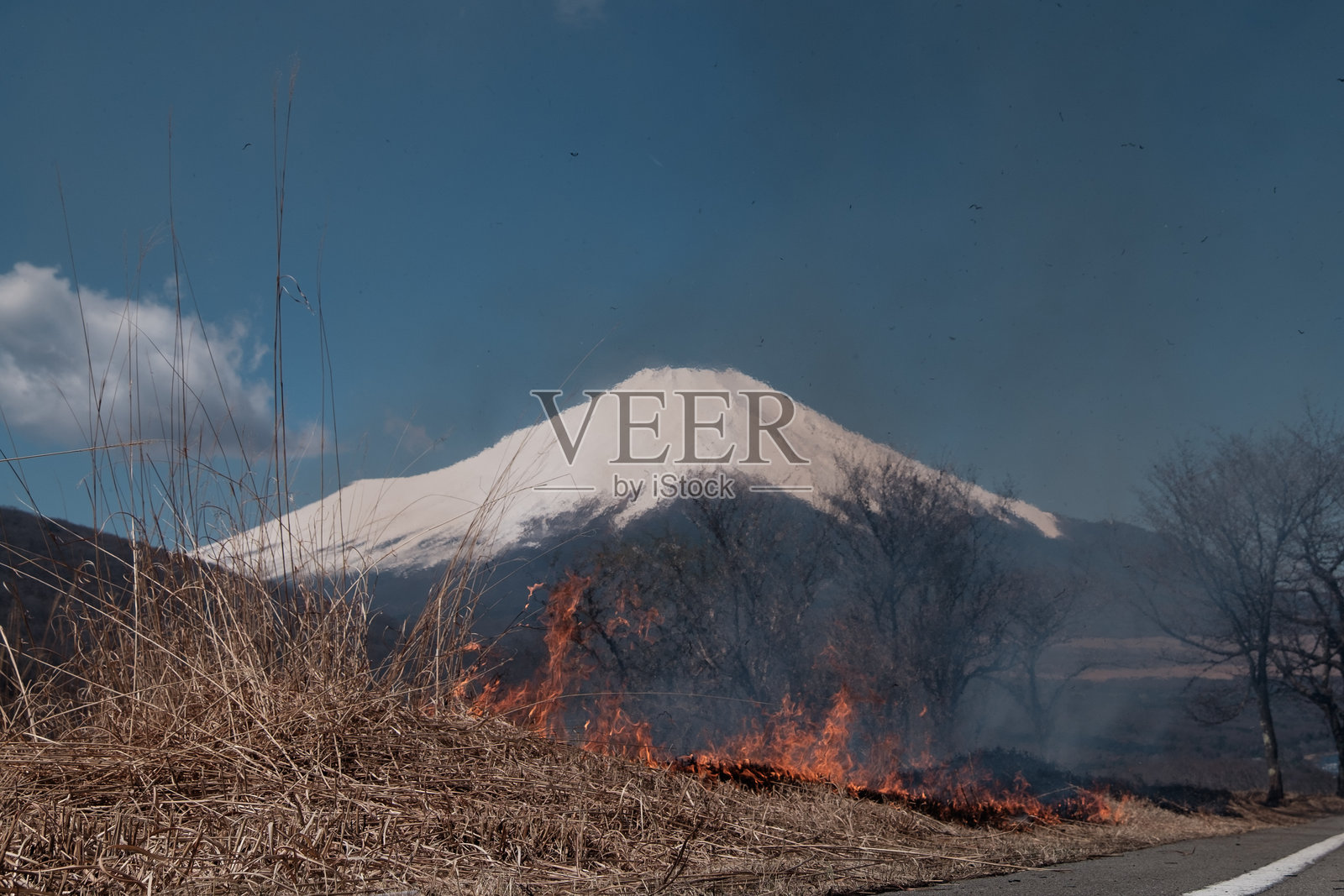 富士山附近的山中湖进行的控制性火烧。照片摄影图片
