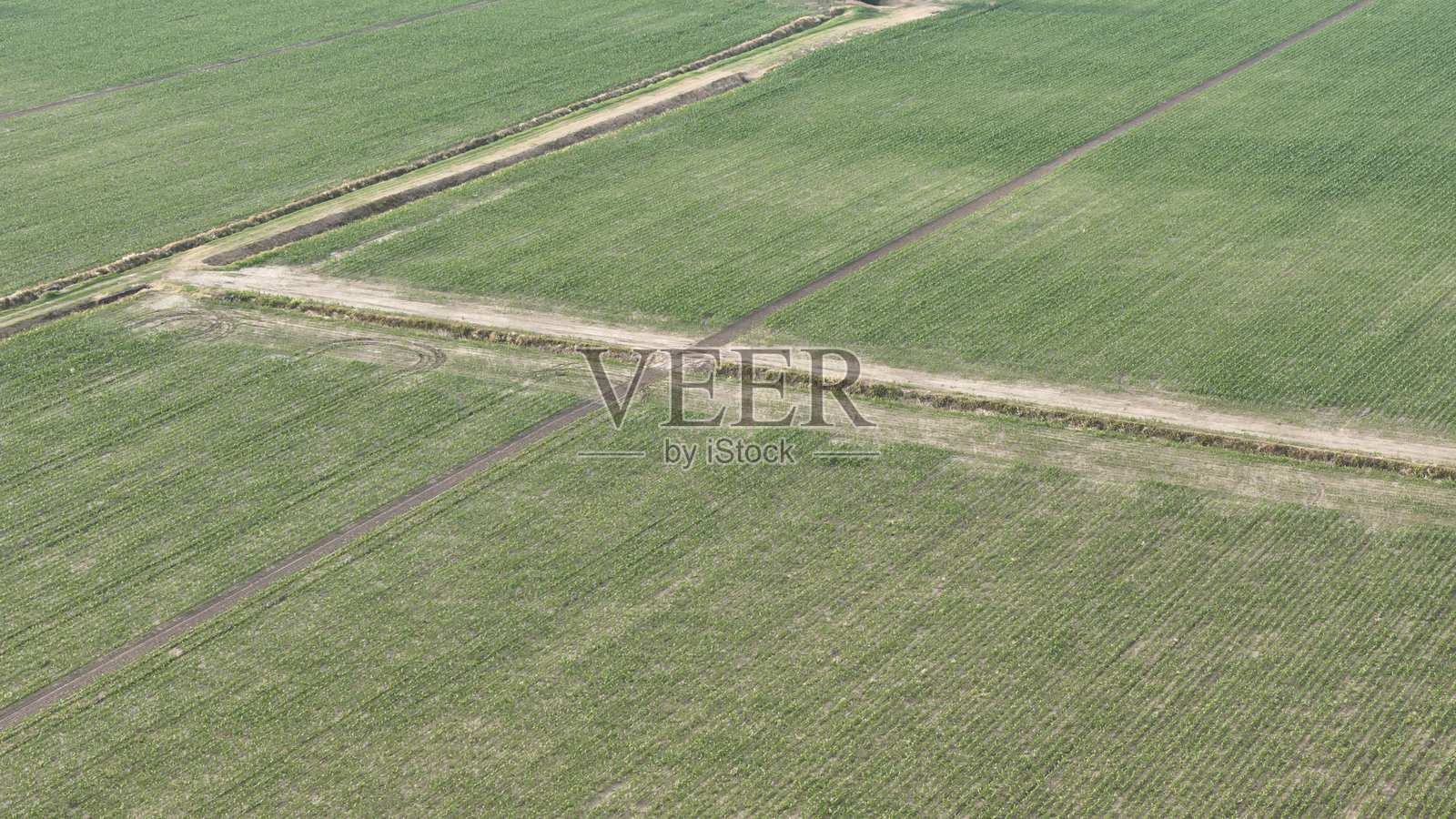 农民在广阔的大豆田中驾驶拖拉机，从空中视角施用重要的作物保护剂，以提高现代农业生产力。照片摄影图片