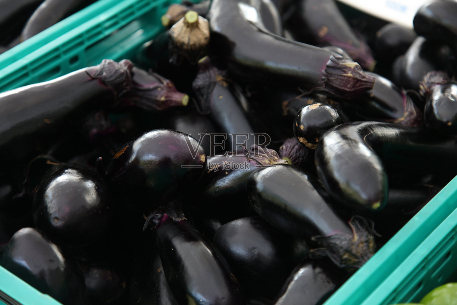 很多茄子照片摄影图片