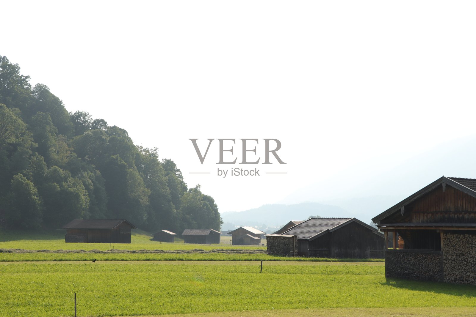 通过火车游览慕尼黑、艾布斯湖、加米施、米滕瓦尔德、菲森、新天鹅堡、萨尔茨堡、哈尔施塔特、国王湖和纽伦堡照片摄影图片