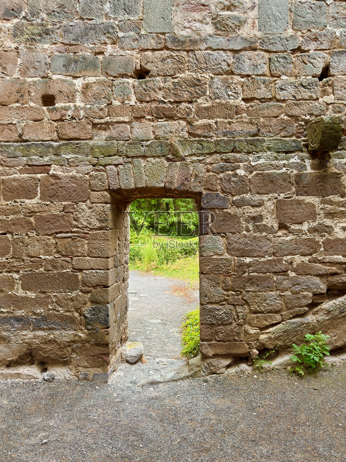 哈登堡城堡遗址照片摄影图片