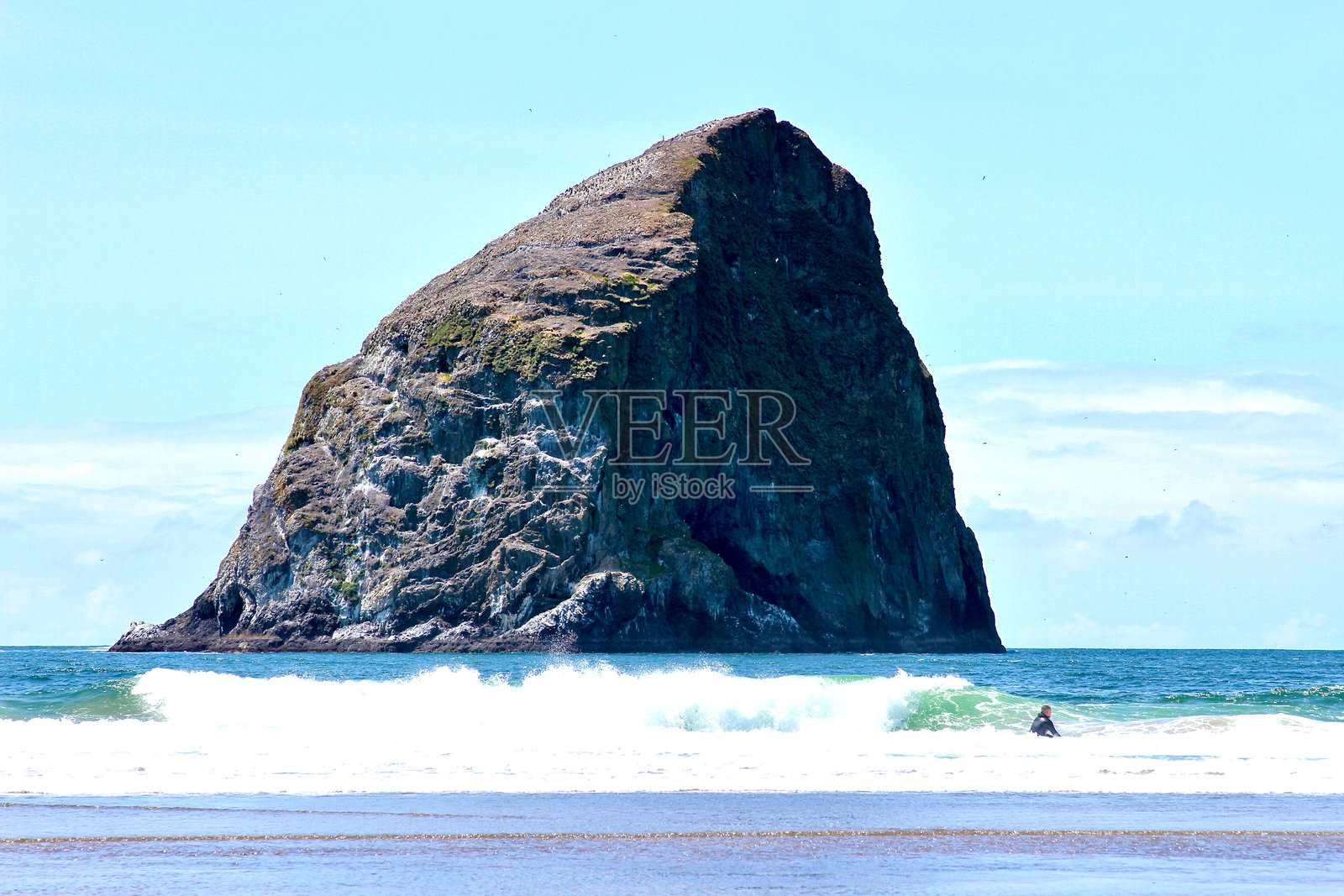 俄勒冈州的海草石特写照片摄影图片