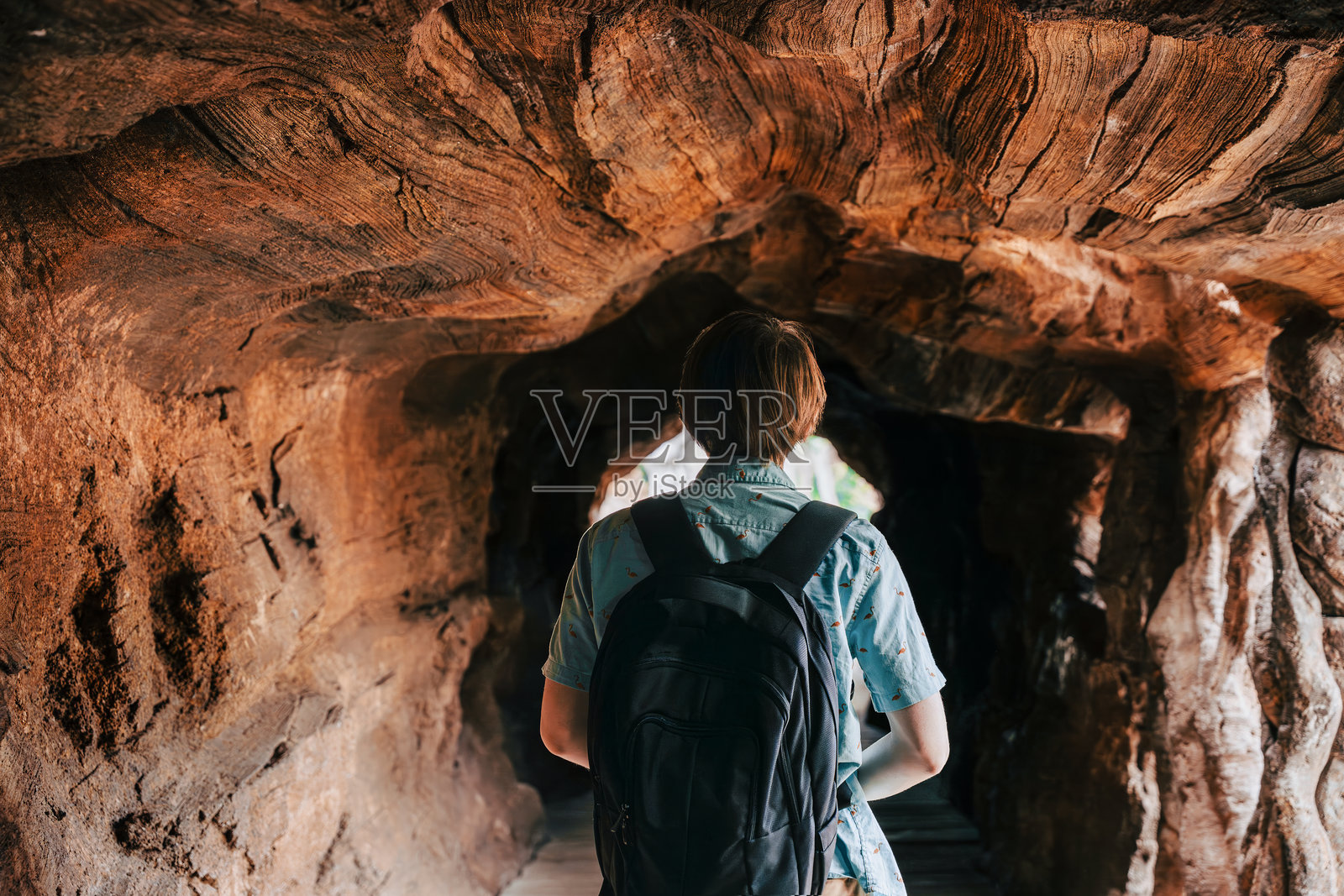 背包客在空心树隧道中行走照片摄影图片