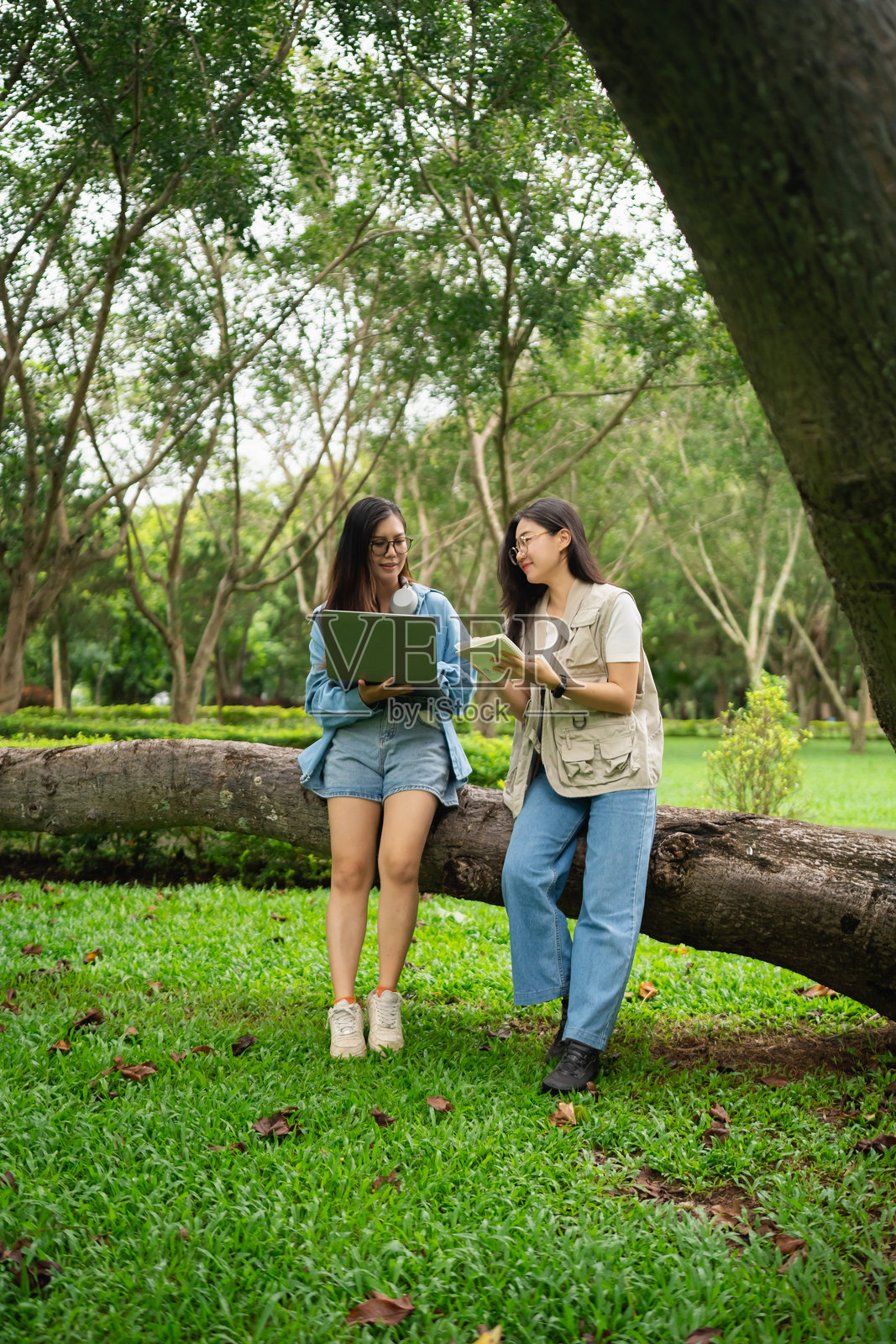 两位年轻女性在郁郁葱葱的公园中合作，使用笔记本电脑并阅读笔记，周围环绕着树木和自然。照片摄影图片