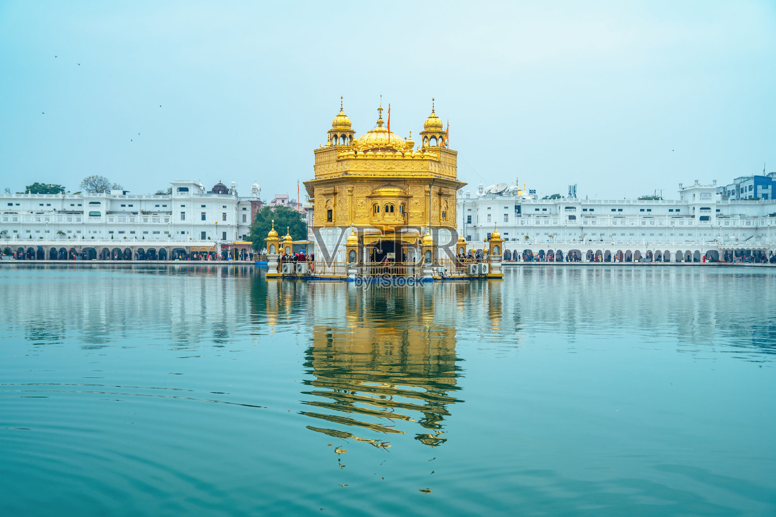 印度阿姆利则的金庙（哈曼迪尔·萨希布）。神圣的锡克教圣地，覆盖着金色，环绕着神圣的萨罗瓦尔，以其精神宁静而闻名。照片摄影图片