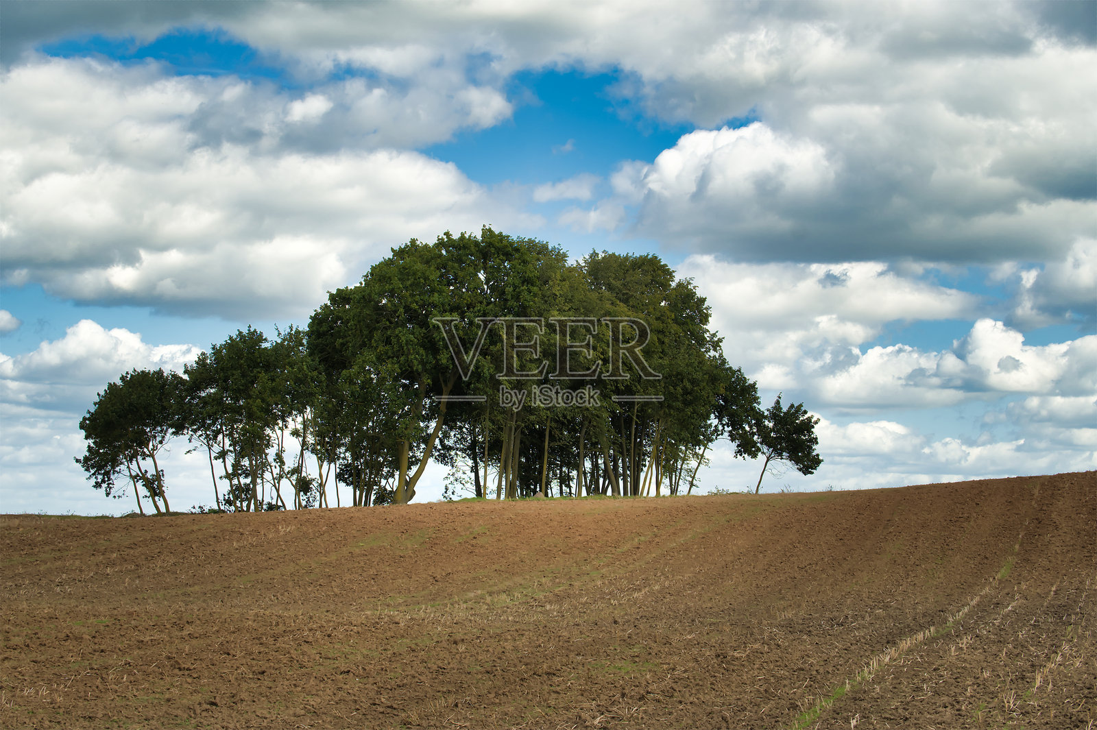 蓝天白云下山顶上的郁郁葱葱的绿树照片摄影图片