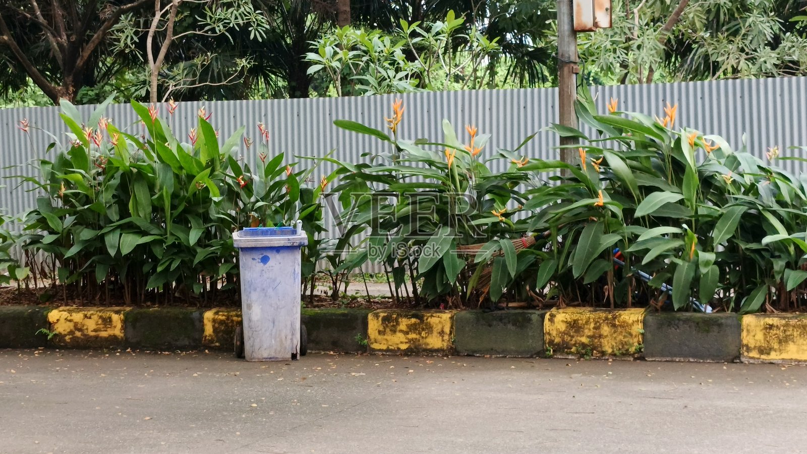 为每个人提供绿色公共空间。照片摄影图片